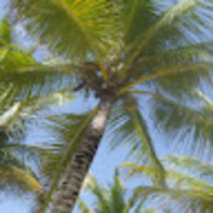 Meet your Posher, Ana